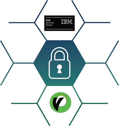 I-virtualize Data Safety Net 